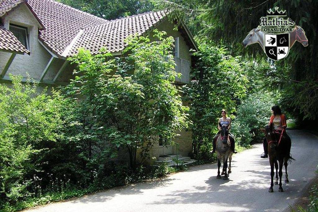 Mathias Lovasudvar Kemence Ngoại thất bức ảnh